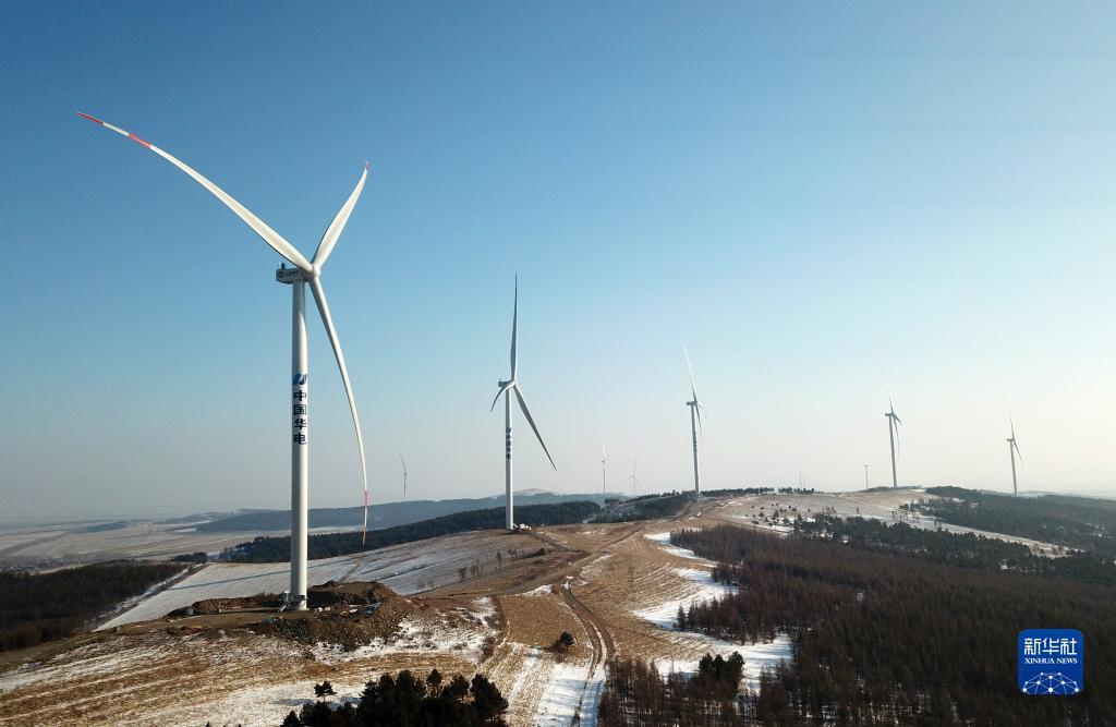 鱼丸游戏qq登录版